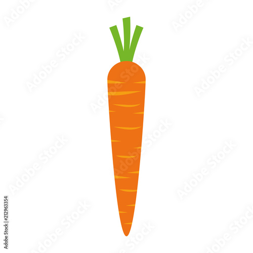 carrot fresh isolated icon vector illustration design
