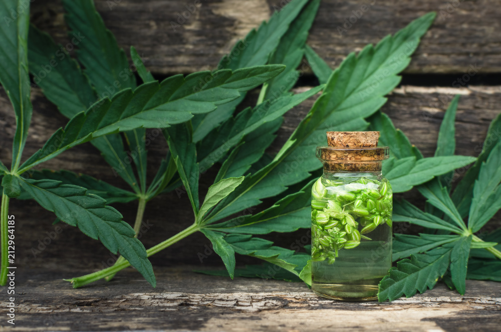 Cannabis essential oil in the vial. Herbal medicine. Naturopathy. Cannabis essential oil in the vial. Herbal medicine. Naturopathy.
