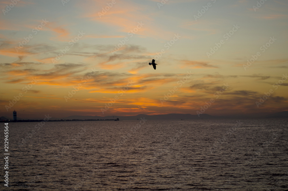The red sunset with clouds afterglow and seagull on the gulf The red sunset with clouds afterglow and seagull on the gulf