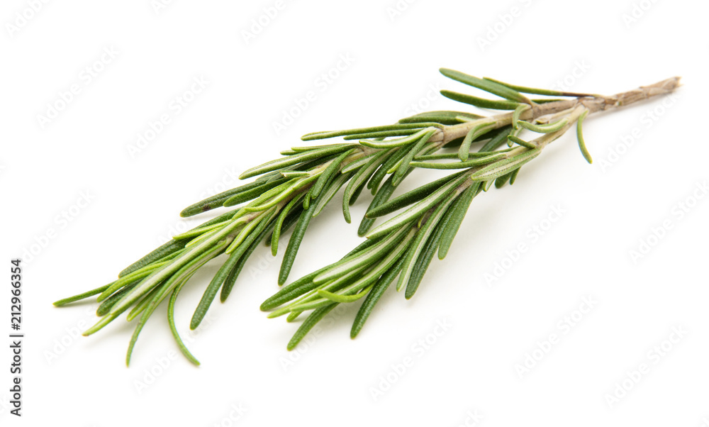 Fototapeta premium Twig of rosemary on a white background