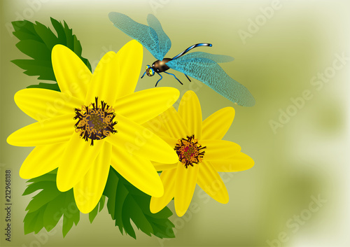 flowers and dragonfly