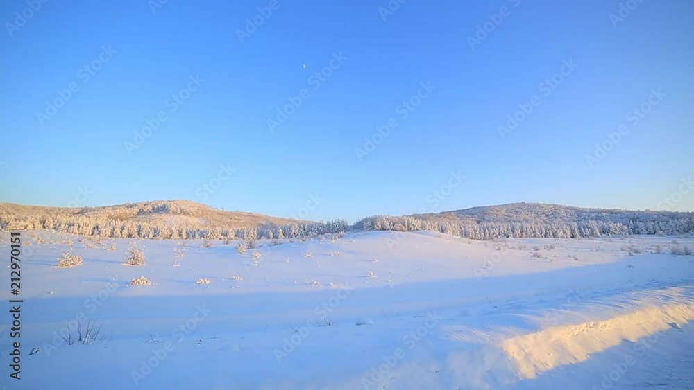 Winter road through snowy fields and forests