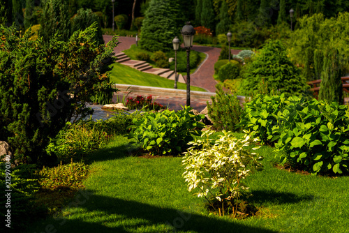 Flowers and bushes on the slope in a landscape recreation park