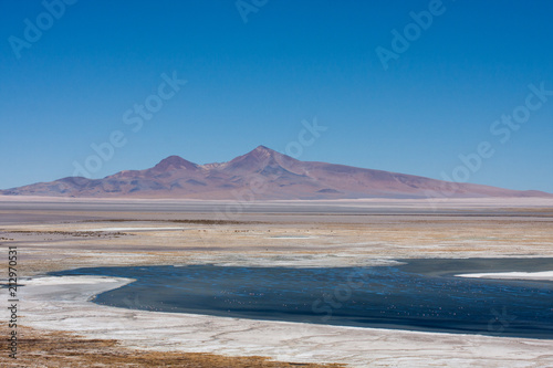 Lagunas de San Pedro de Atacama