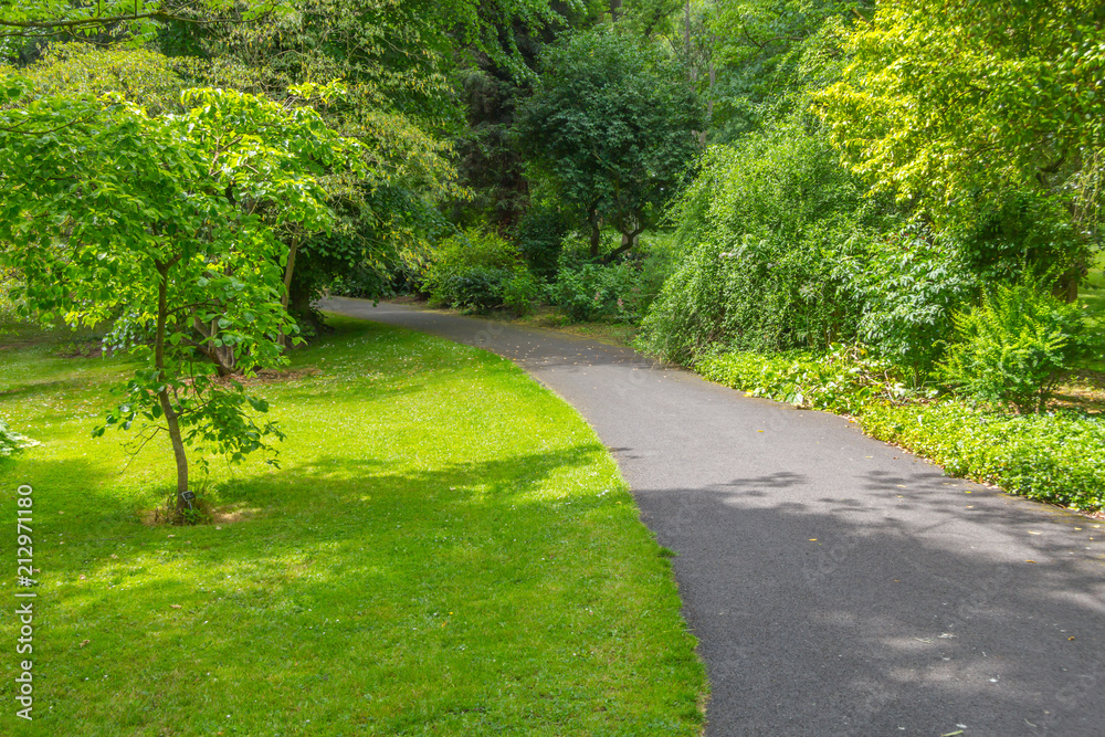 Trees and grass in Botanic Garden