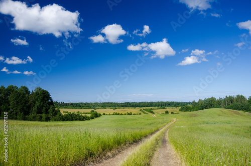 Summer landscape with country road in the field of green grass lit with sunshine and beautiful clouds