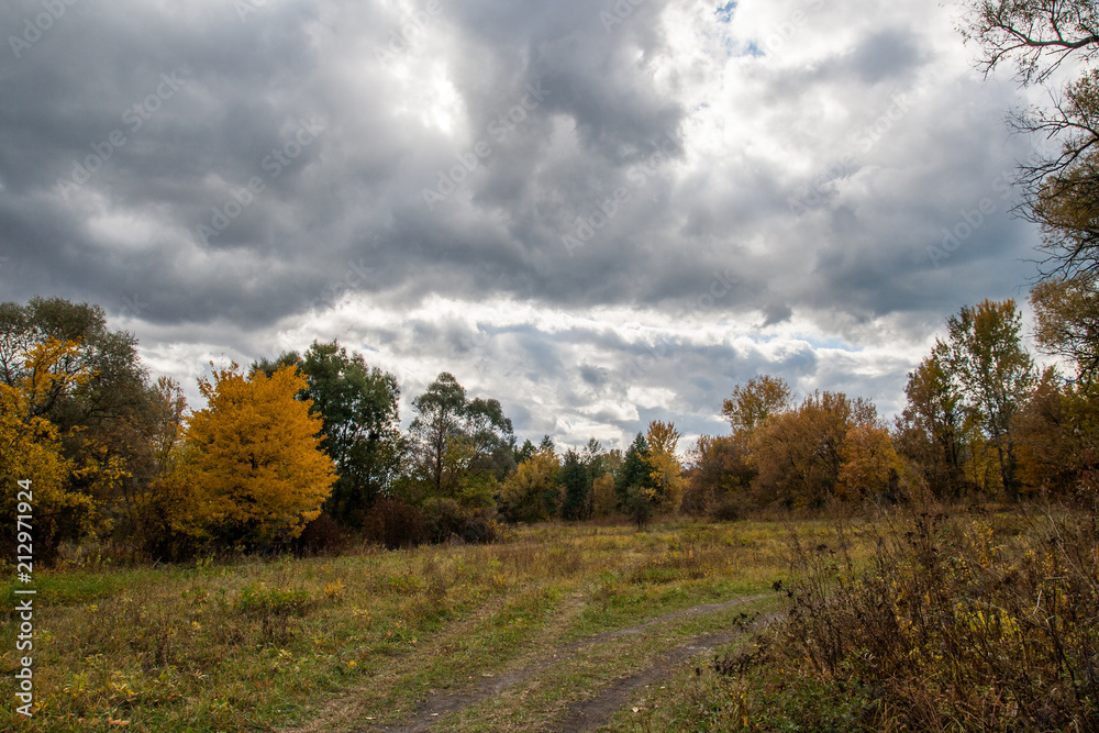 Autumn cloudy landscape