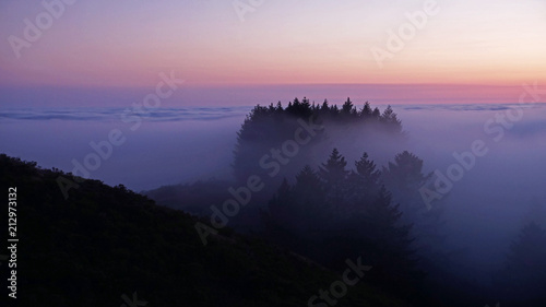 Watching the clouds smother the pines at sunset
