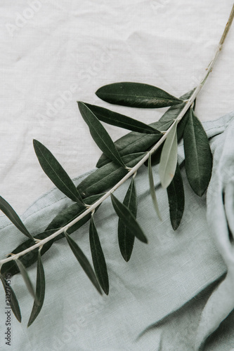 Olive branch on linen. Nature concept photo