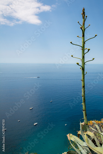Vertical View of the Sea in front of the Path betewwn Corniglia and Vernazza at Summer