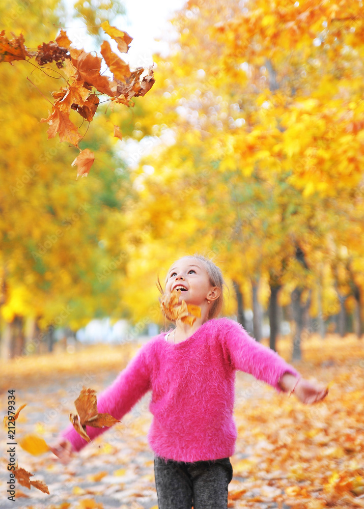 Cute little girl plays with an autumn leaves.
Cute little girl plays with an autumn leaves.