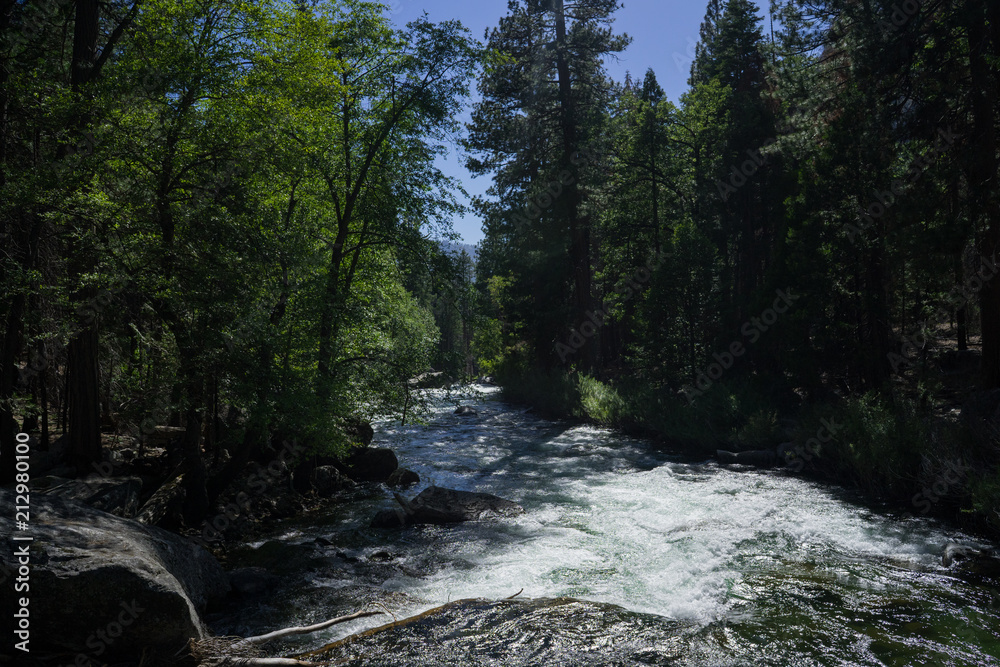 Fototapeta premium Overhead river