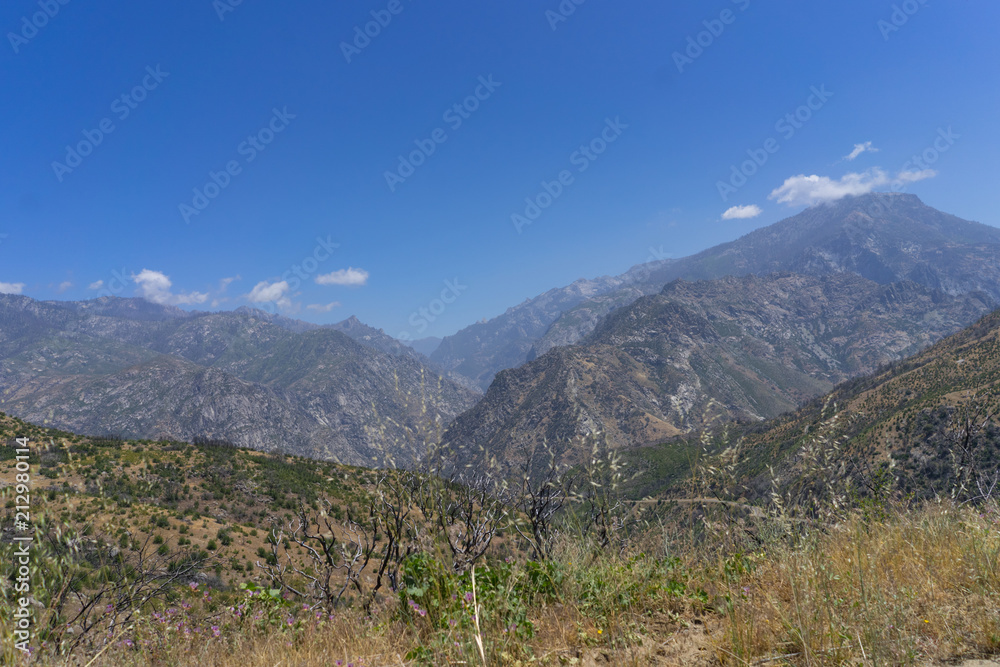 King's Canyon landscape