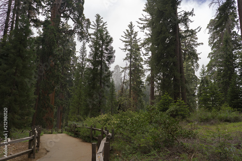 Nature's path