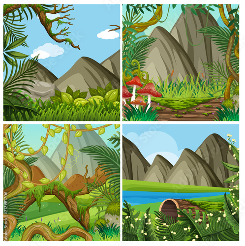 A Natural Forest Landscape