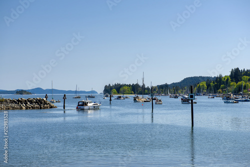 View of Ganges Harbour in Salt Spring Island, BC © roxxyphotos