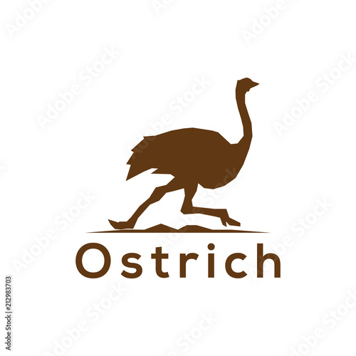 Ostrich bird logo vector element. Bird Logo Template