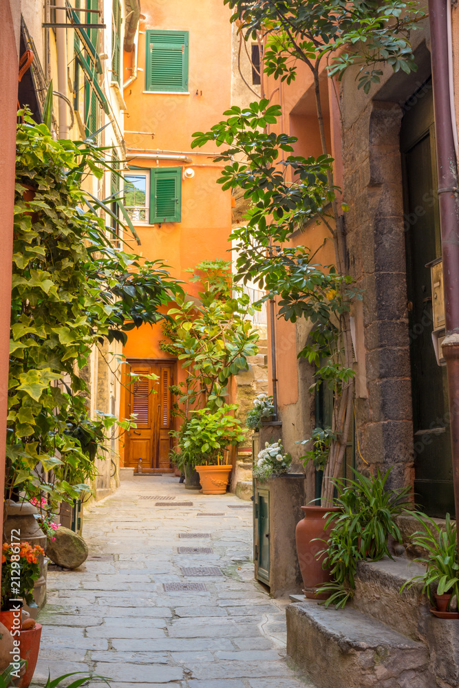 Alley in the Town of Vernazza.
