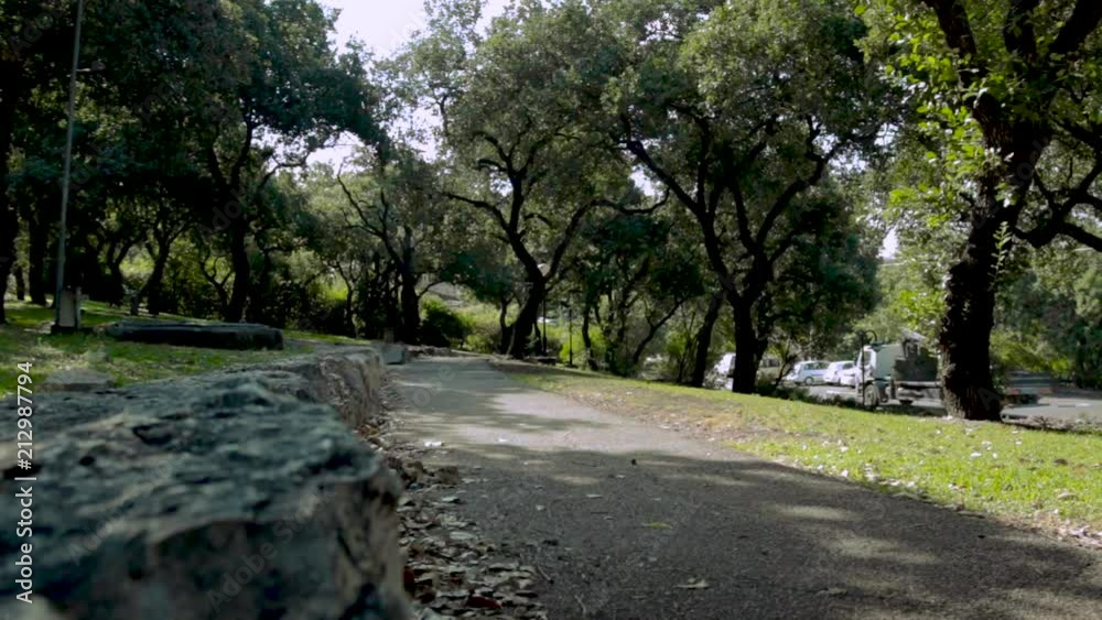 Time-lapse in a Park Time-lapse in a Park