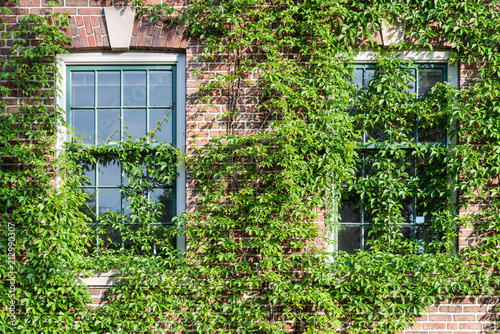 Old Red Brick Building with Vines 