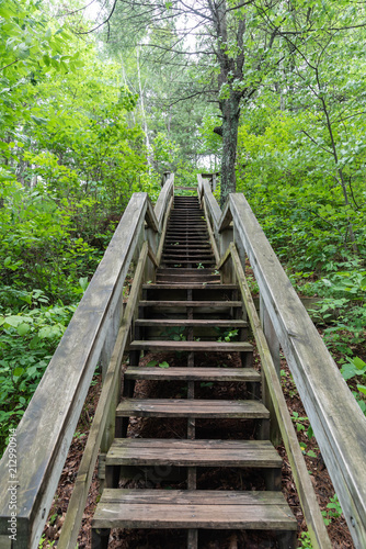 Wooden Stair in Minnesota Forest
