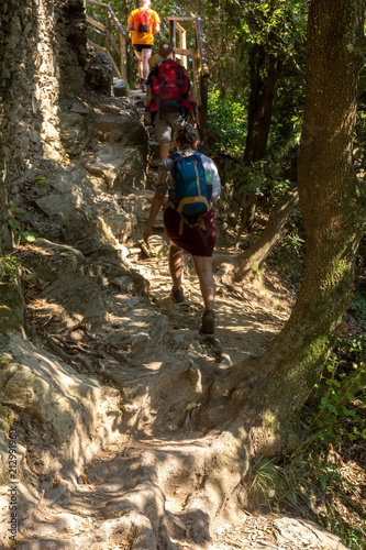 Three Tourists Climbing Stone Stairs in the Forest during the Path from Vernazza to Monterosso.