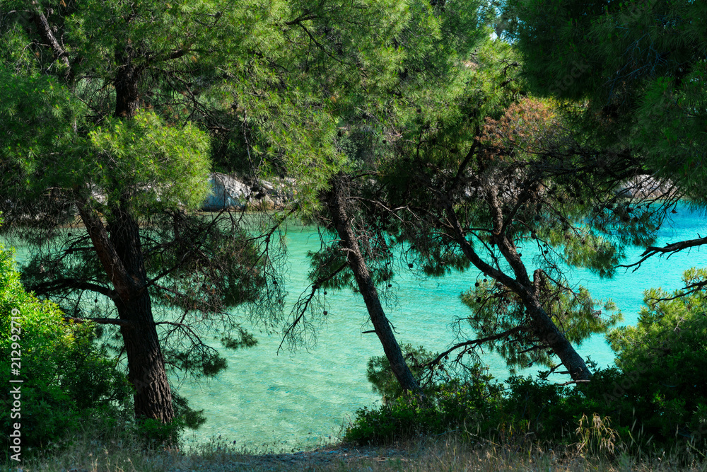 Blue sea water with evergreen forest Blue sea water with evergreen forest