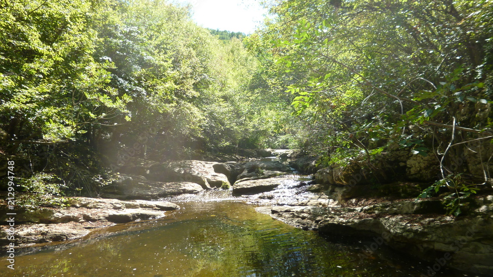 beauty in Nature, day, Flowing, Flowing water, forest, Green color, Growth, Land, Nature, no people, non-urban scene, outdoors, Plant, rainforest, Rock, scenics-nature, stream-flowing water, Sunlight, beauty in Nature, day, Flowing, Flowing water, forest, Green color, Growth, Land, Nature, no people, non-urban scene, outdoors, Plant, rainforest, Rock, scenics-nature, stream-flowing water, Sunlight,