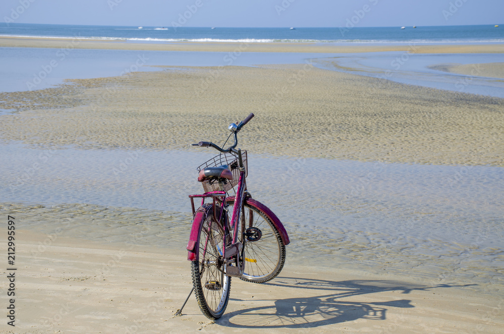 The vehicle the red bicycle against the background of the blue sea and the coast
