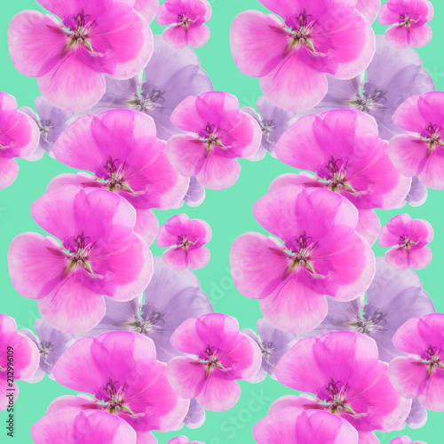 Geranium  pelargonium. Seamless pattern texture of flowers. Floral background  photo collage