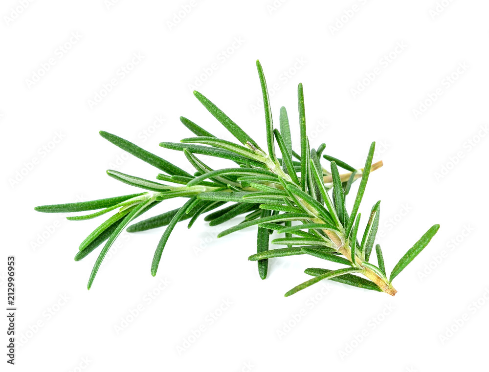 rosemary isolated on white background