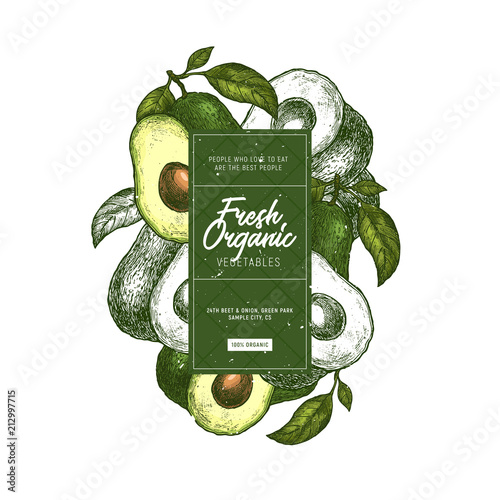 Avocado design template. Organic vegetables. Vector illustration