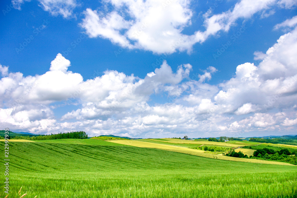 Fototapeta premium 背景 テクスチャー 空の色