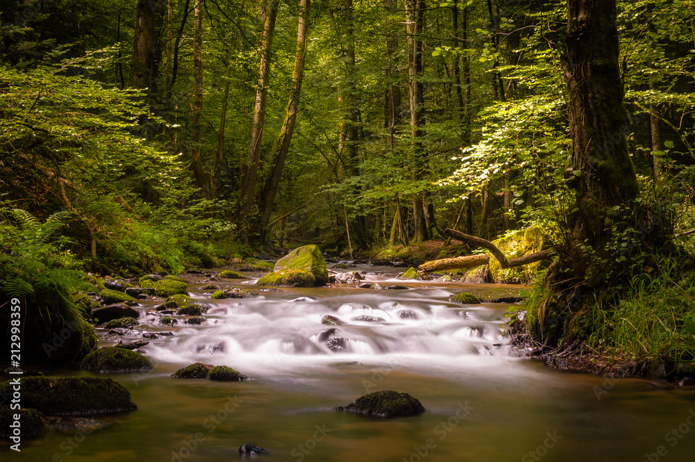 Obraz premium Tall river