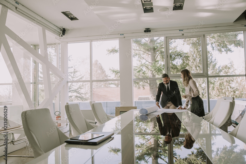 Young woman and senior businessman working together on project in modern office Young woman and senior businessman working together on project in modern office