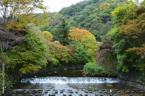 京都の瑠璃光院 photo