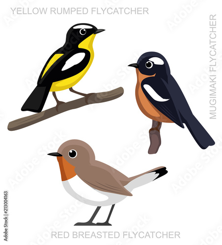 Bird Flycatcher Set Cartoon Vector Illustration