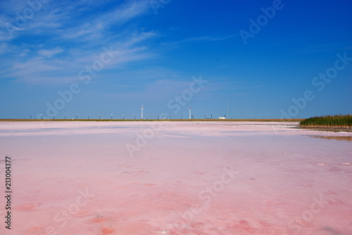 Lemurian Lake - a pink dream of Kherson