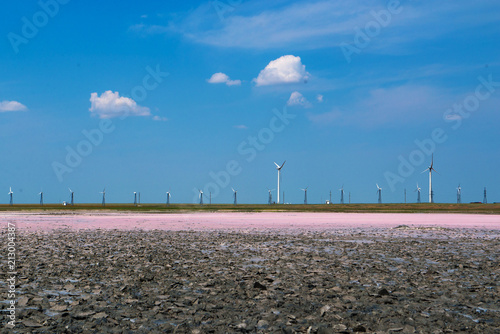 Lemurian Lake - a pink dream of Kherson