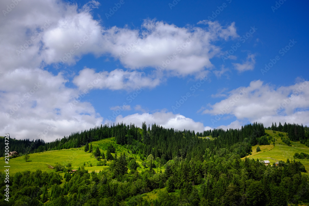 summer mountains green grass and blue sky landscape summer mountains green grass and blue sky landscape