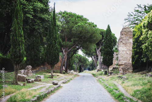 The ancient Appian Way (Appia Antica) in Rome photo