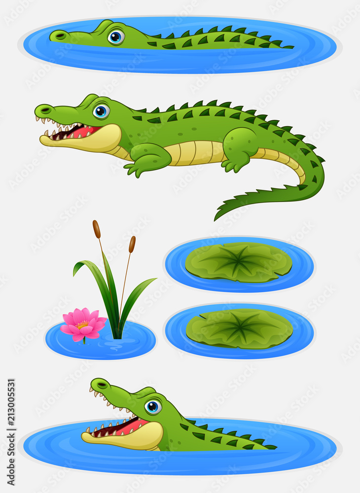 Naklejka premium Komplet kreskówka krokodyl i lilia wodna