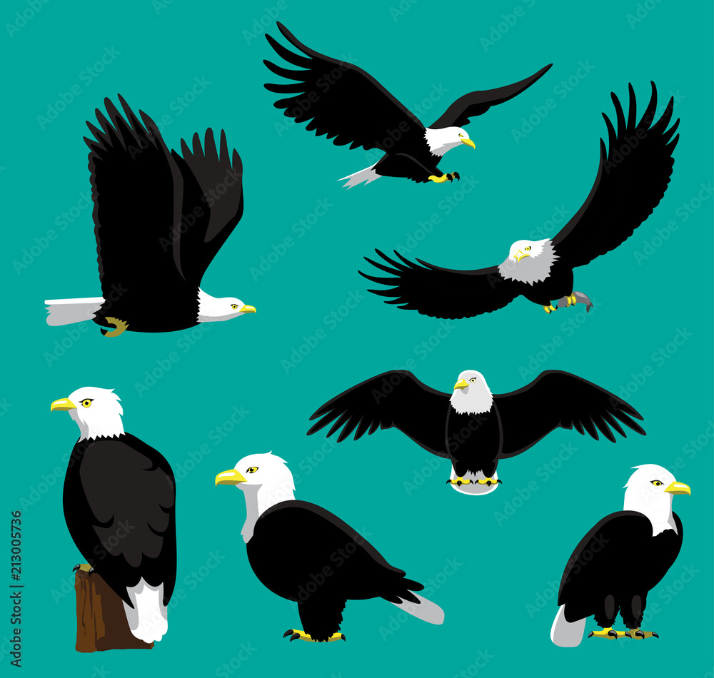 Obraz premium Bielik ilustracja kreskówka wektor