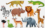 Cartoon wild animals on white background