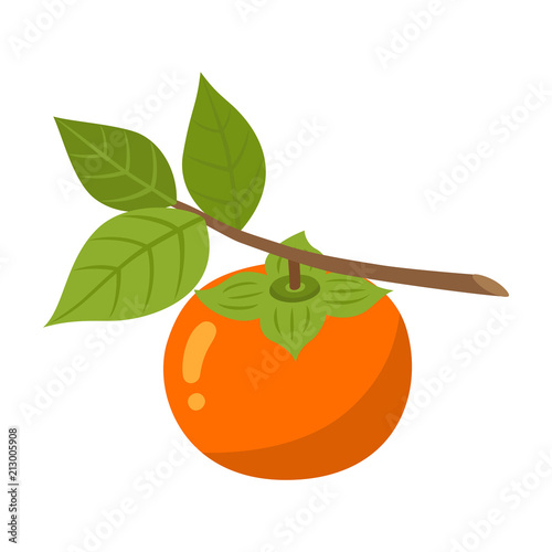 Persimmon branch fruit