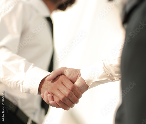 Business handshake and business people. Business concept.