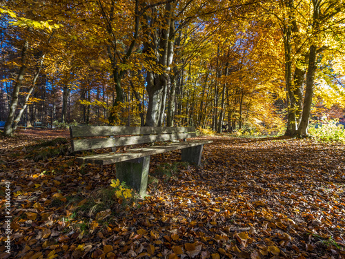 Empty park bench, Autumn at Lake Starnberg in Ambach, Bavaria, Germany, Europe