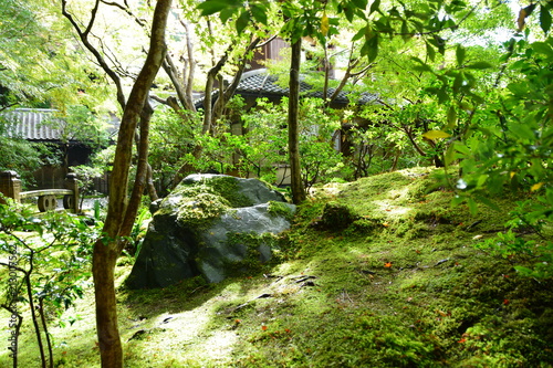 京都の瑠璃光院 photo