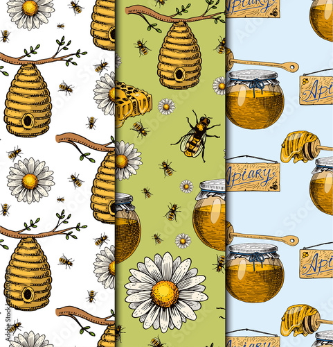 Apiary bee vector chamomile hand drawn vintage honey making farmer beekeeper illustration nature product seamless pattern background.