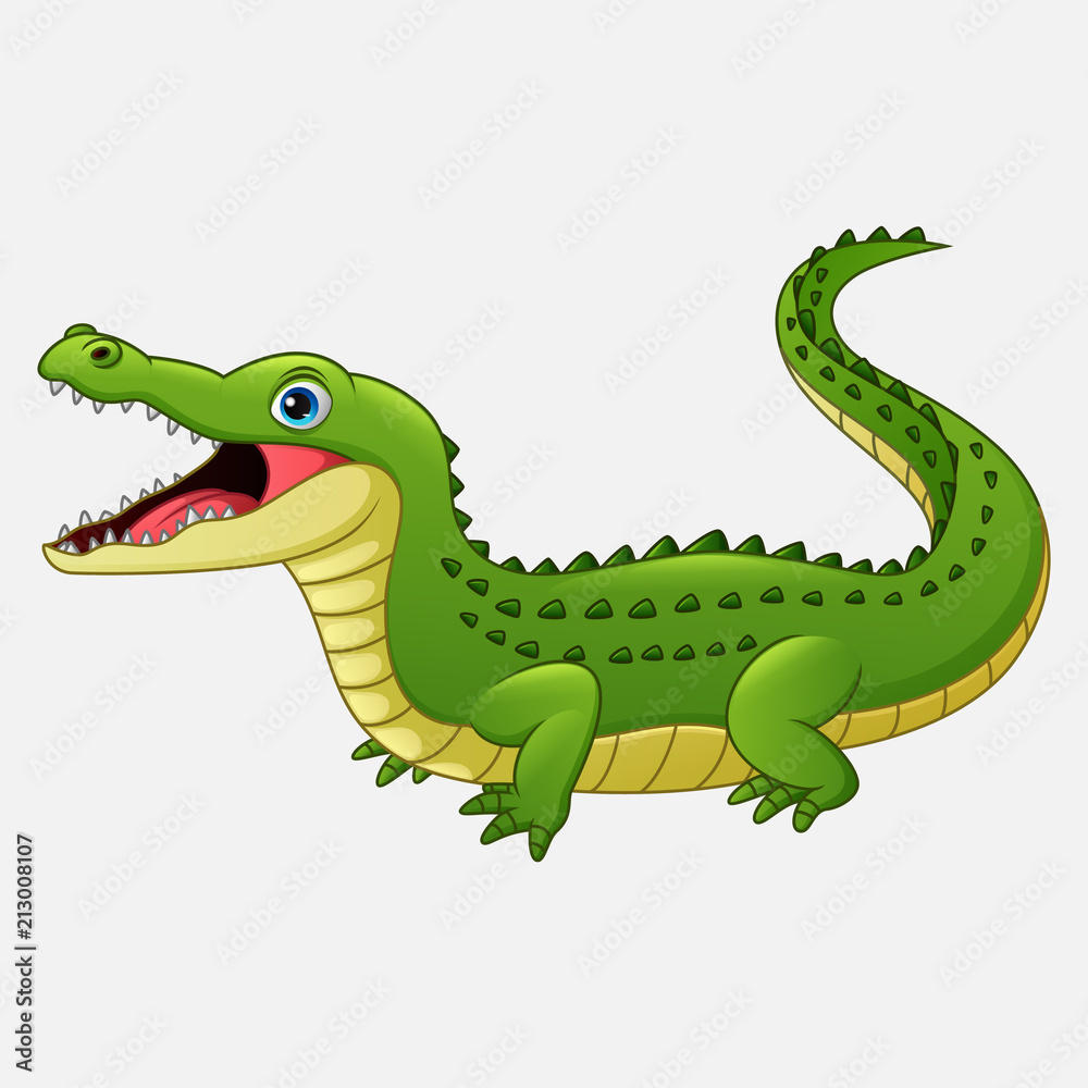 Cartoon crocodile isolated on white background Cartoon crocodile isolated on white background